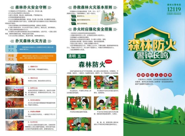 清明五一防火季：严守守则守护森林安全