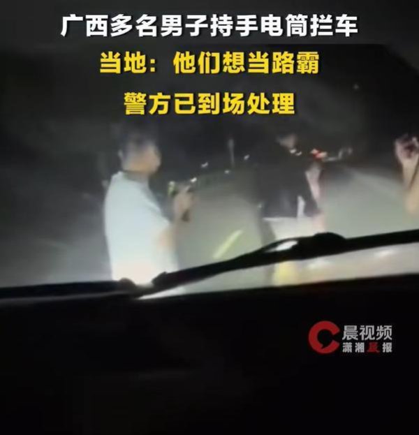 极目锐评丨国道上多名男子持手电筒拦车，对路霸应当从严从快处理