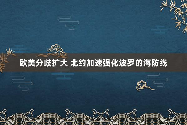 欧美分歧扩大 北约加速强化波罗的海防线