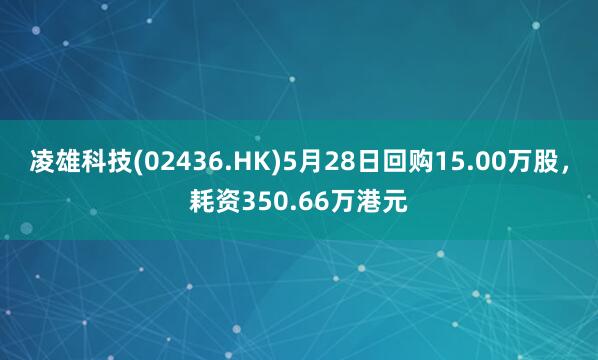 凌雄科技(02436.HK)5月28日回购15.00万股，耗资350.66万港元