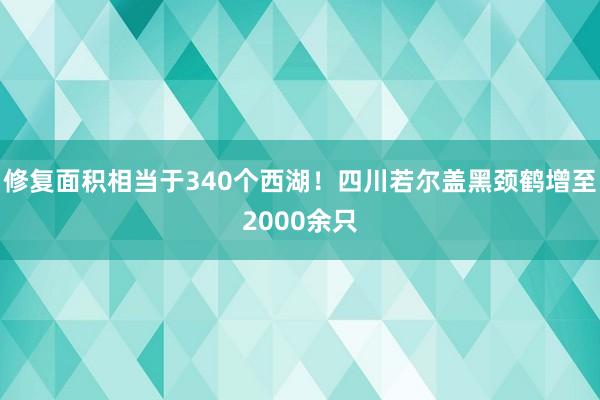 修复面积相当于340个西湖！四川若尔盖黑颈鹤增至2000余只