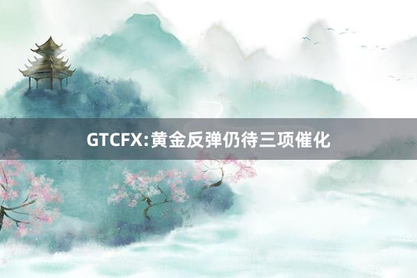 GTCFX:黄金反弹仍待三项催化