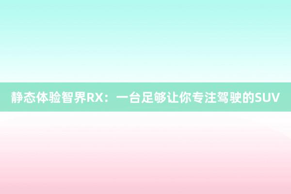 静态体验智界RX：一台足够让你专注驾驶的SUV