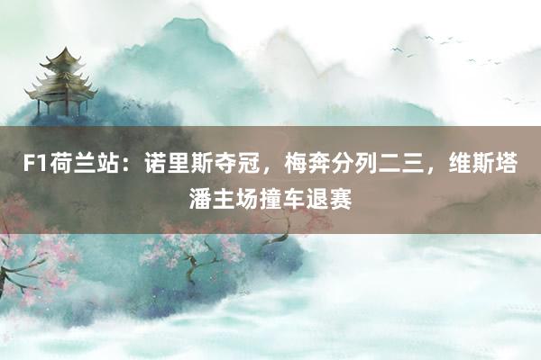 F1荷兰站：诺里斯夺冠，梅奔分列二三，维斯塔潘主场撞车退赛