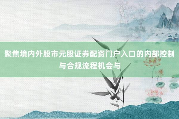 聚焦境内外股市元股证券配资门户入口的内部控制与合规流程机会与