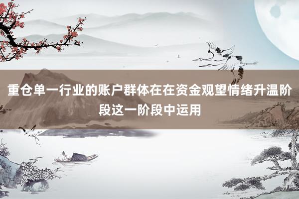 重仓单一行业的账户群体在在资金观望情绪升温阶段这一阶段中运用