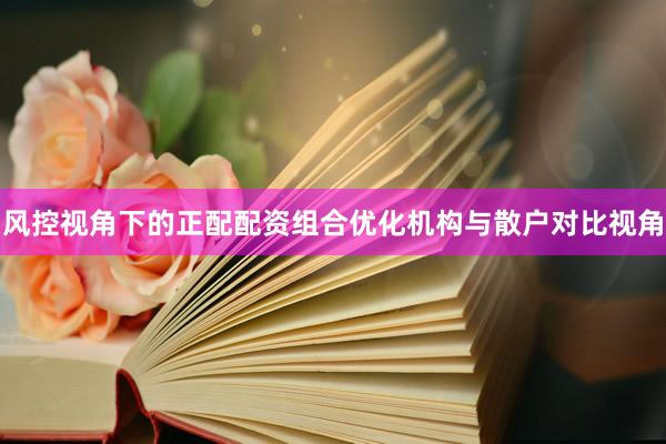 风控视角下的正配配资组合优化机构与散户对比视角