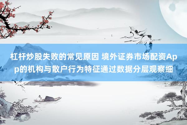 杠杆炒股失败的常见原因 境外证券市场配资App的机构与散户行为特征通过数据分层观察细
